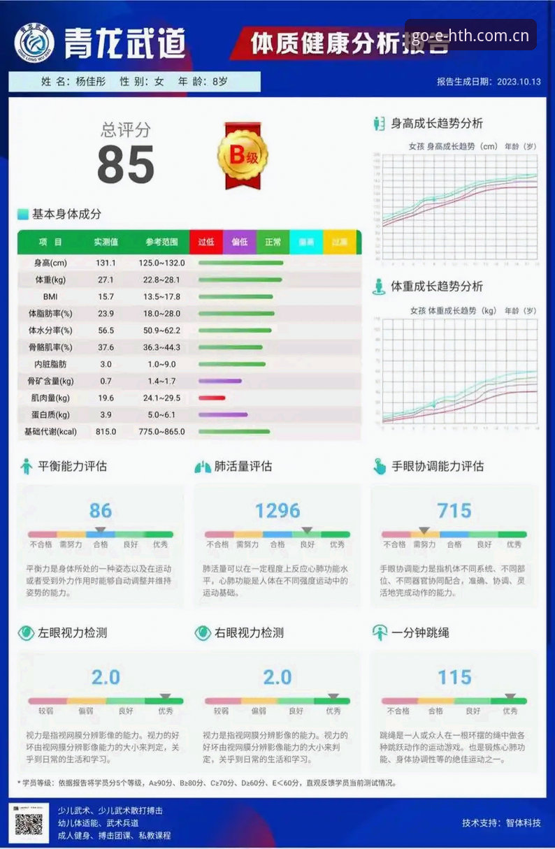 HTH体育平台赛事分析功能深度评测：从数据洞察到投注决策的全面体验报告